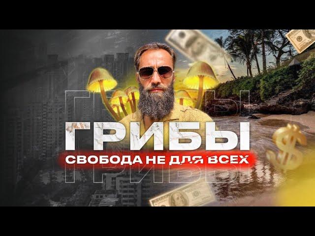 До чего довели грибы!? Трип на волшебных грибах и его последствия!