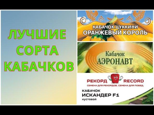 КАБАЧКИ! УРОЖАЙНЫЕ СОРТА КАБАЧКОВ- СОЗРЕВАНИЕ 45 ДНЕЙ. БОЛЬШОЙ И РАННИЙ  УРОЖАЙ КАБАЧКОВ.