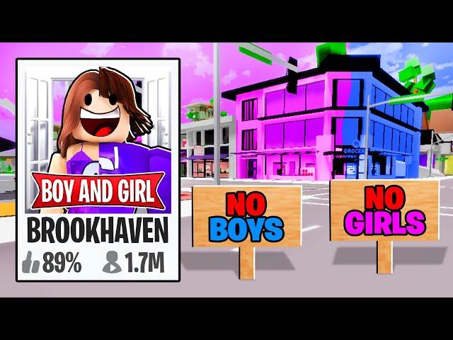 I Created a BOYS VS GIRLS Brookhaven!