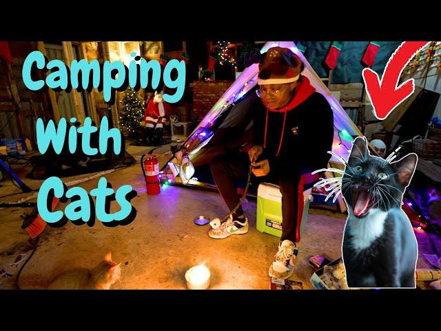 Guys. Camping With Cats is Hard!