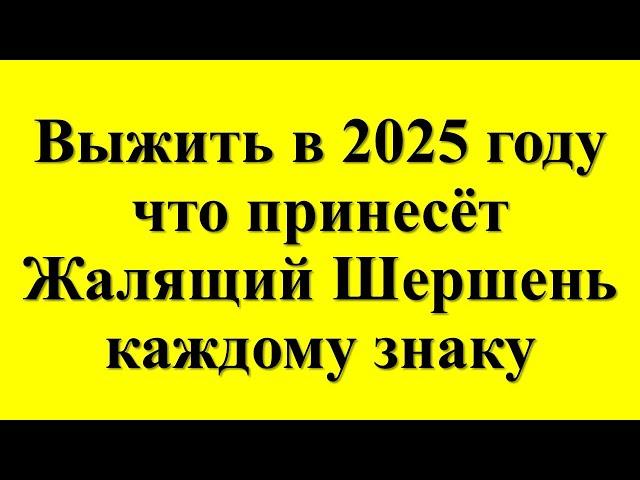 Славянский календарь на 2025 год под знаком Жалящего Шершня: к чему готовиться каждому знаку?