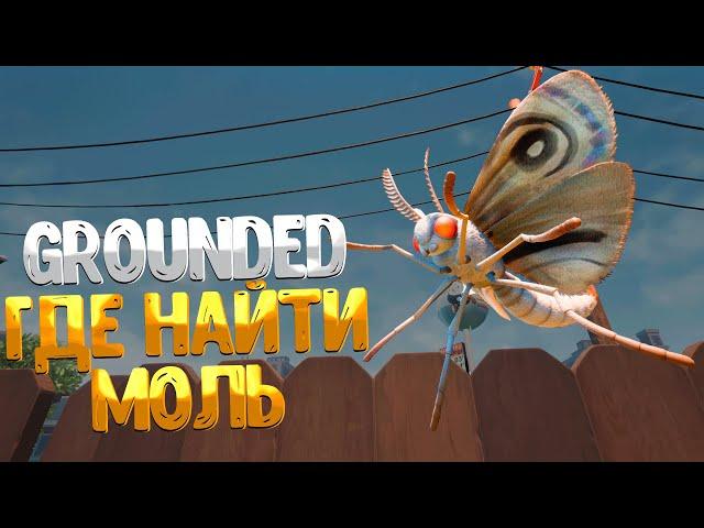 Grounded  ГДЕ НАЙТИ МОЛЬ / КАК СДЕЛАТЬ СНАРЯЖЕНИЕ ИЗ МОЛИ  / MOTH ARMOR