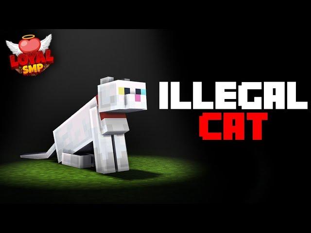 This Minecraft Mob Is Illegal... Here's Why| Loyal Smp |