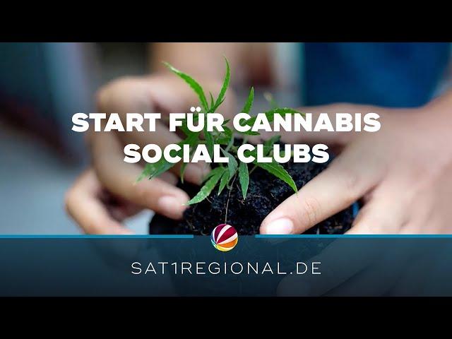 Cannabis Social Clubs: Bürokratische Hürden beim Anbau