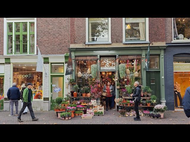 Fall in Love with Delft: A Wednesday Walk from Shops to the Old Town