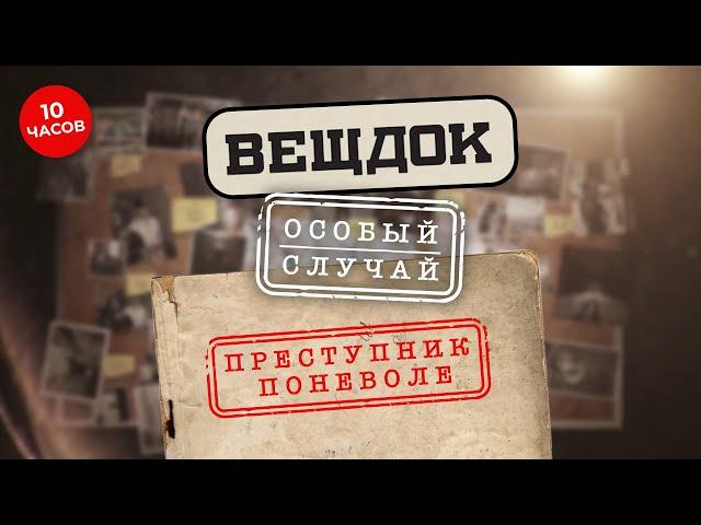 КОГДА НЕ ОСТАЛОСЬ НИКАКОЙ НАДЕЖДЫ, ОНИ СТАЛИ ПРЕСТУПНИКАМИ ПОНЕВОЛЕ | ВЕЩДОК ЛУЧШИЕ СЕРИИ ПОДРЯД