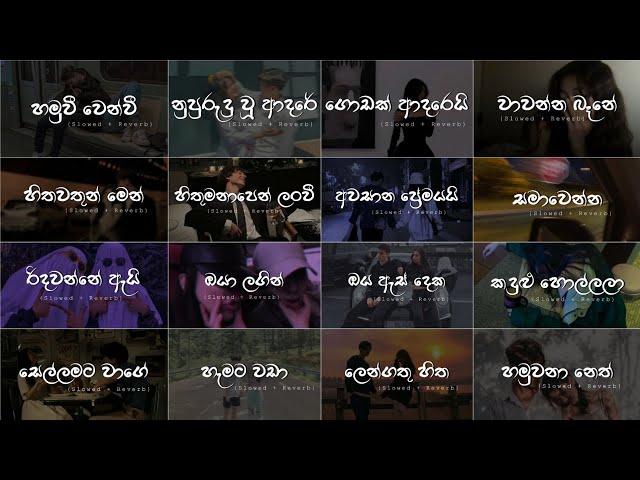 මනෝපාරකට (Slowed + Reverb) ️ Manoparakata Sindu 2024 - Playlist 16 @skmusic_