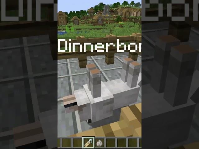 Dinnerbone..... #minecraft #shorts