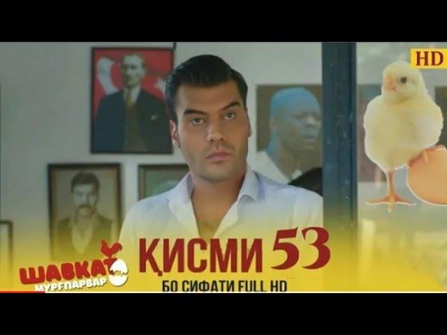 ШАВКАТ КИСМИ -53 / SHAVKAT QISMI-53