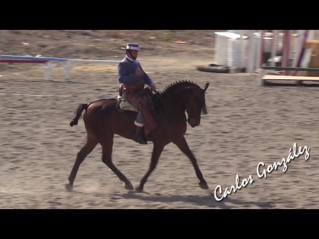 José Antonio Olea Rodríguez & Bello XXIII P  Doma
