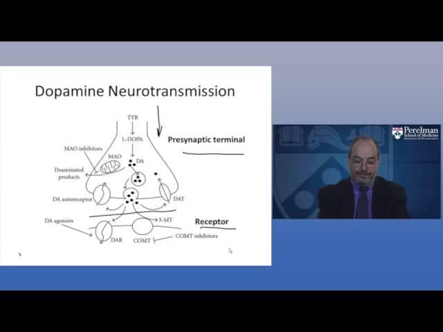 The Neurobiology of ADHD