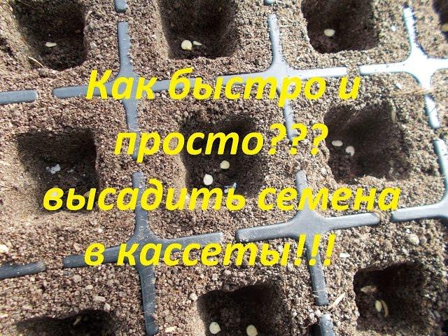 Как быстро и качественно посадить семена в кассеты!!!Выращивание рассады через кассеты!!!