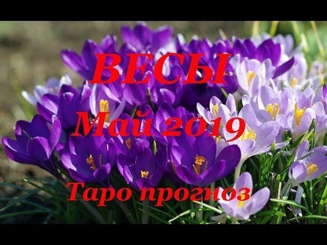 ВЕСЫ.  МАЙ  2019. ТАРО ПРОГНОЗ. Любовь, деньги, работа.