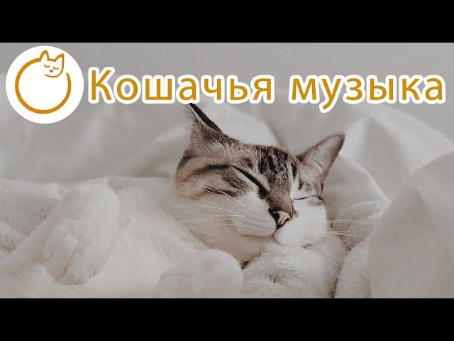 Музыка для кошек - Мягкие колыбельные от кошачьей тревоги 