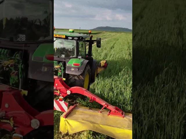 Grünroggen mähen mit #JohnDeere 6R150 und #Pöttinger Eurocat | Luxemburg 2024