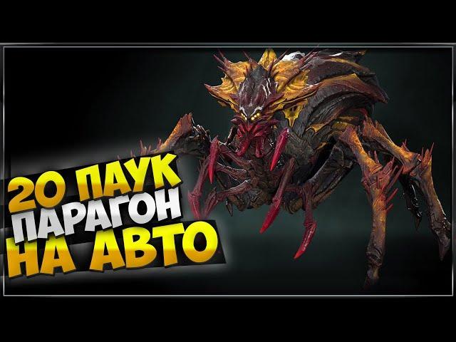 20 паук через парагона на авто. Raid: shadow legends