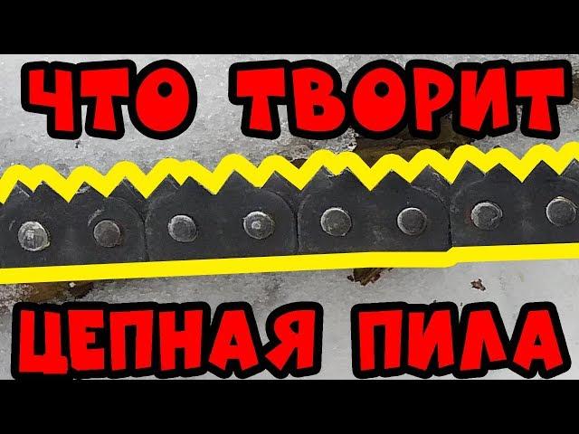 [ОБЗОР и ТЕСТ] Лучшая замена обычной пилы.Цепная карманная пила. Барнаульская пила.