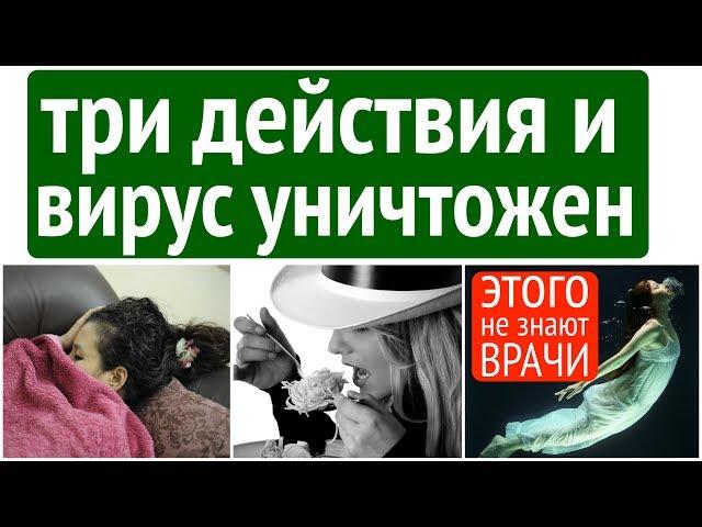 3 действия и сезонный вирус уничтожен 