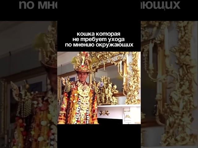  #ветеринар #собака #уходзакошкой #животные #лечение #юмор #прикольныекоты #девушка #собаки