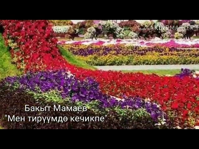 Бакыт Мамаев "Мен тирүүмдө кечикпе"с.Жумадин Кадыров.о.Бакыт Мамаев.