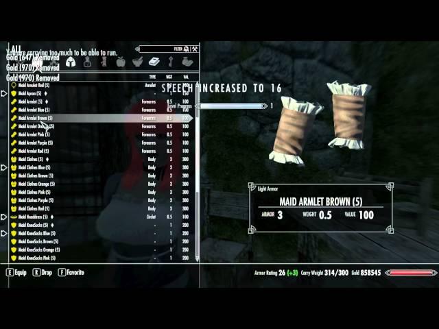 Skyrim - Maid Armor Mod - 18+ Adult Content