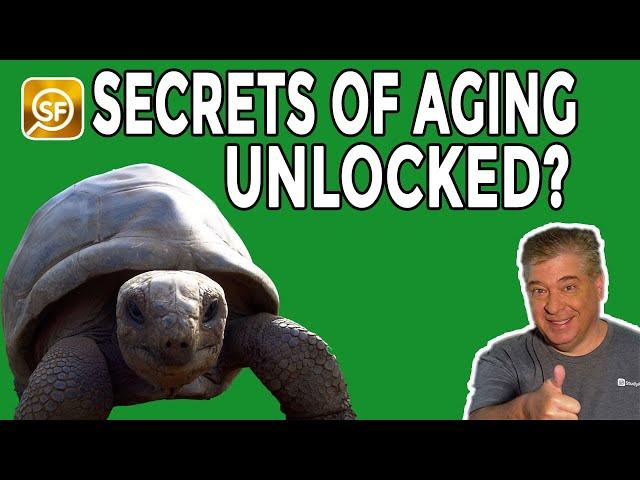 These Animals Don't Grow Old! Could The Secrets Of Aging Finally Be Unlocked?