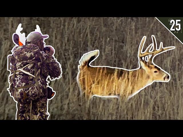 Spot and Stalk RUT Hunt in Ohio! - BIG BUCKS on the MOVE!