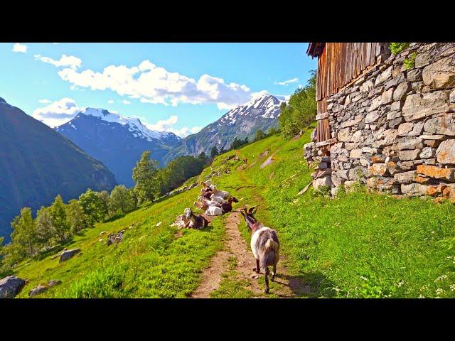 Walking around Geiranger, most beautiful Village of Norway