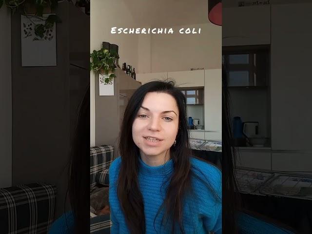 Escherichia coli - кишечная палочка