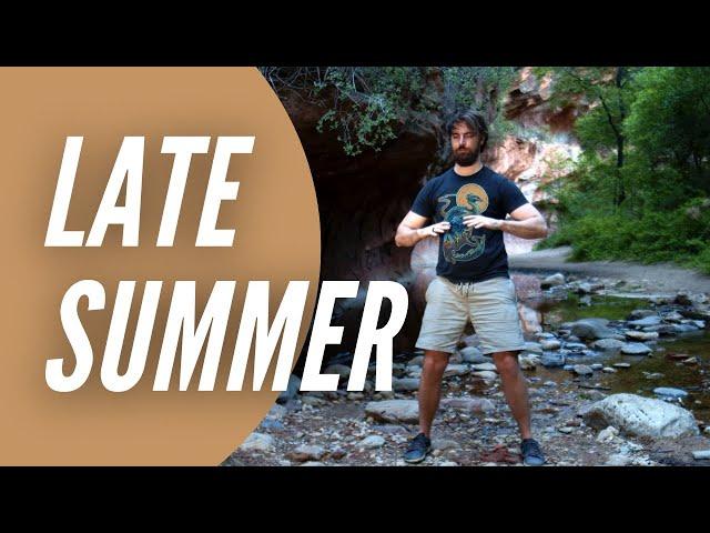 Qi Gong for Late Summer | Centering Qigong for Digestion, Worry, Stomach, & Spleen