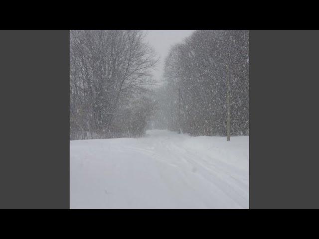 А мы с тобою снова вместе