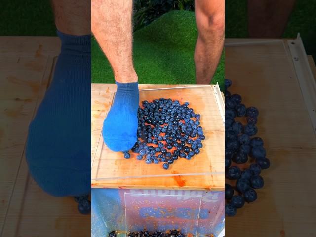 Guess how many Blueberries 🫐 a human can stand on! 