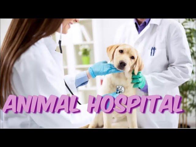 4 класс The animal hospital.