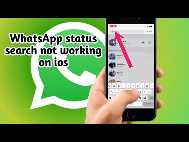 WhatsApp status search not working on iPhone/Android