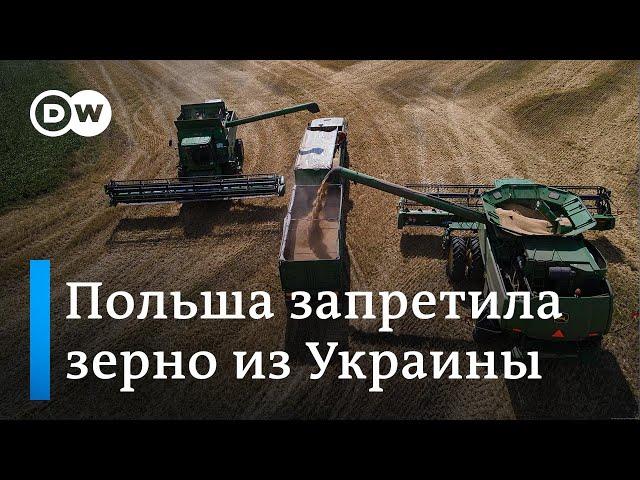 Почему Венгрия и Польша запретили ввоз зерна из Украины