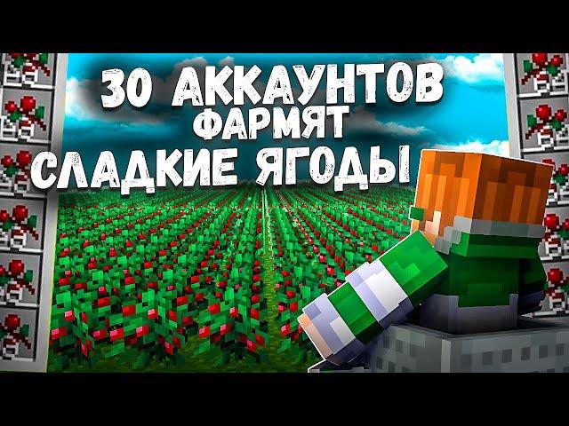 30 АККАУНТОВ ФАРМЯТ СЛАДКИЕ ЯГОДЫ - Это МОЙ ЛУЧШИЙ Вайп на Анархии в Minecraft / Майнкрафт Выживание