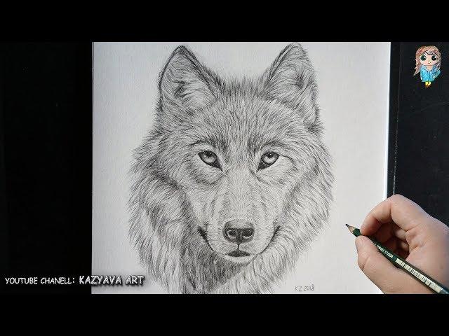 How to draw a face of a wolf with a pencil. A detailed lesson.