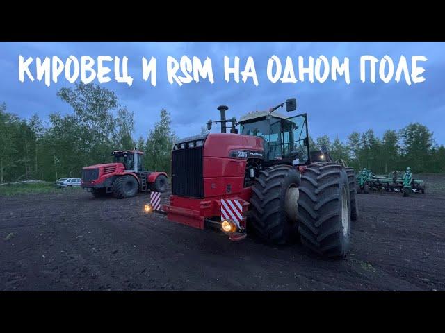 Бороним и сразу же сеем чечевицу. Чуть не засадил RSM 2375