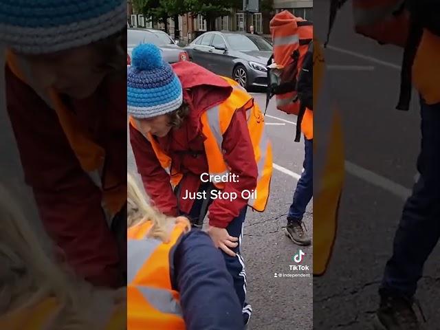 Car driven through Just Stop Oil protest #shorts