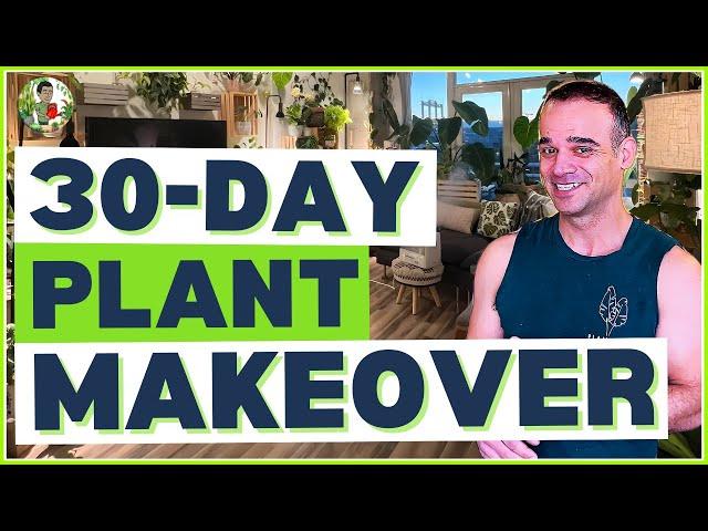 Revamp Your Living Room in 30 Days with Houseplants!