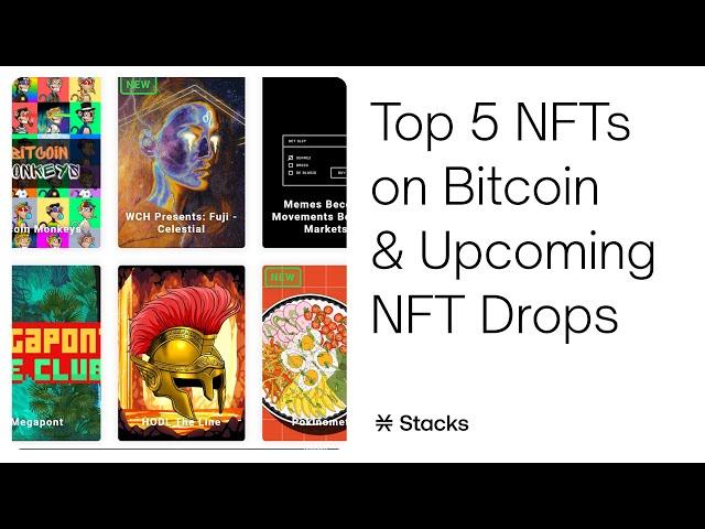 Top 5 NFTs on Bitcoin & Upcoming NFT Drops