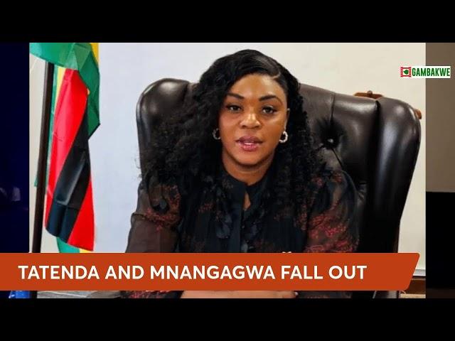 WATCH LIVE: Tatenda Mavetera fall out with Mnangagwa over Chiwenga links