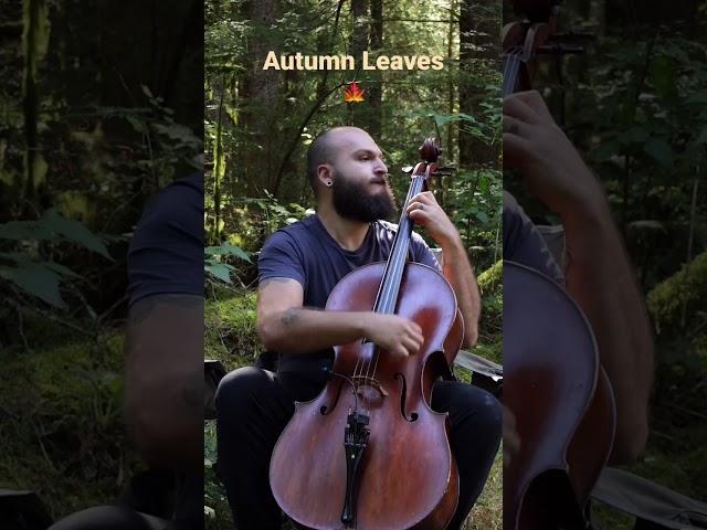 Get Into the Fall Spirit with This Pizzicato Jazz Cello Cover of 'Autumn Leaves'