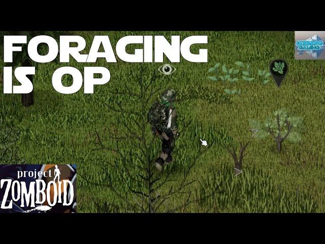 Foraging is OP in Project Zomboid