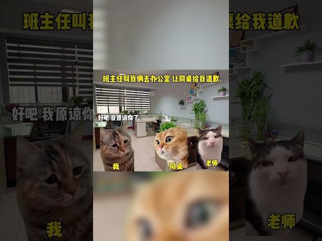 初中课间同桌突然打我 #beats #rnb #musicproducer #猫meme #funny #喵哥是萌新 #搞笑 #cat