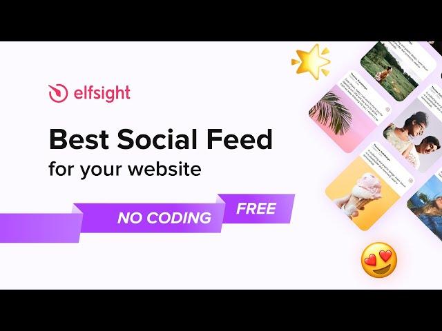 Best Social Media Feed for Website  Elfsight