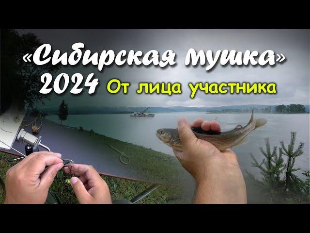 "Сибирская Мушка 2024". От лица участника.