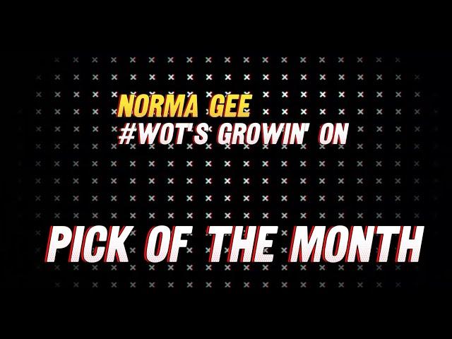 113GrowShow | PICK OF THE MONTH | May 2025 | Wots growin on