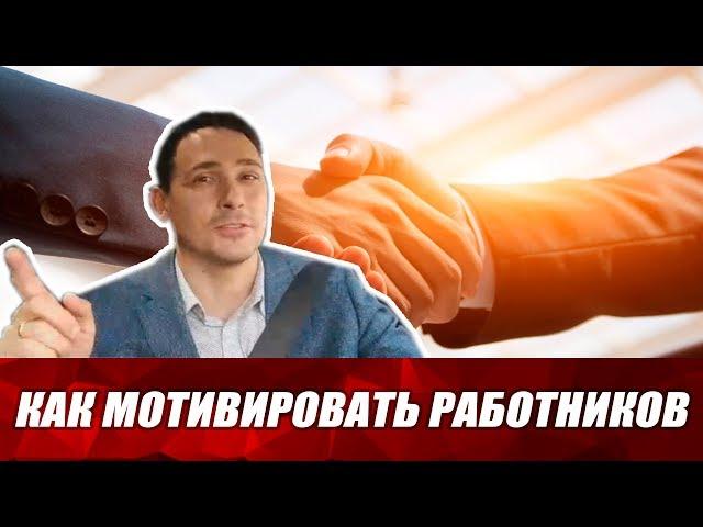 Как ООО может не платить страховые взносы? Мотивация персонала. Бизнес и налоги.