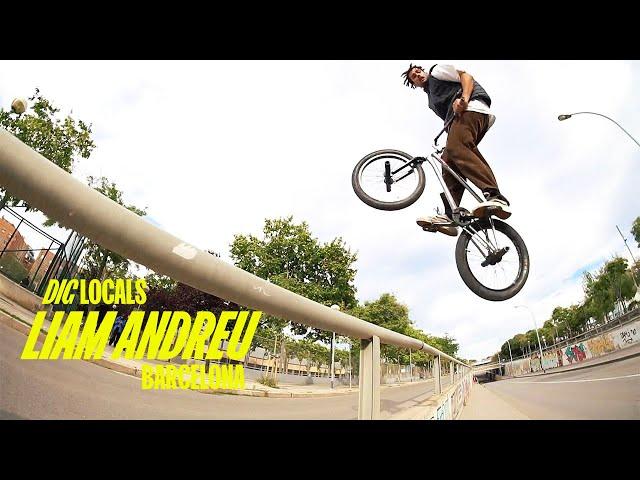 LIAM ANDREU MIX - DIG LOCALS